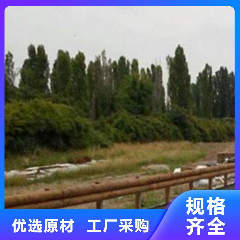 鋼背木護欄不銹鋼橋梁護欄現貨批發同城供應商
