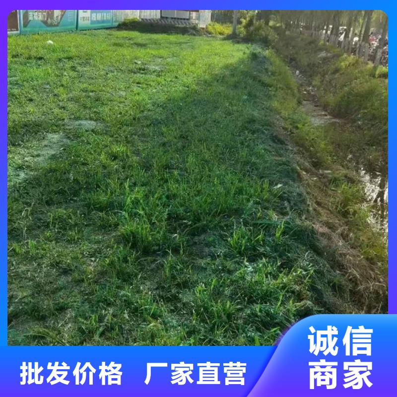 抑塵劑色素值得信賴?yán)掀放茝S家