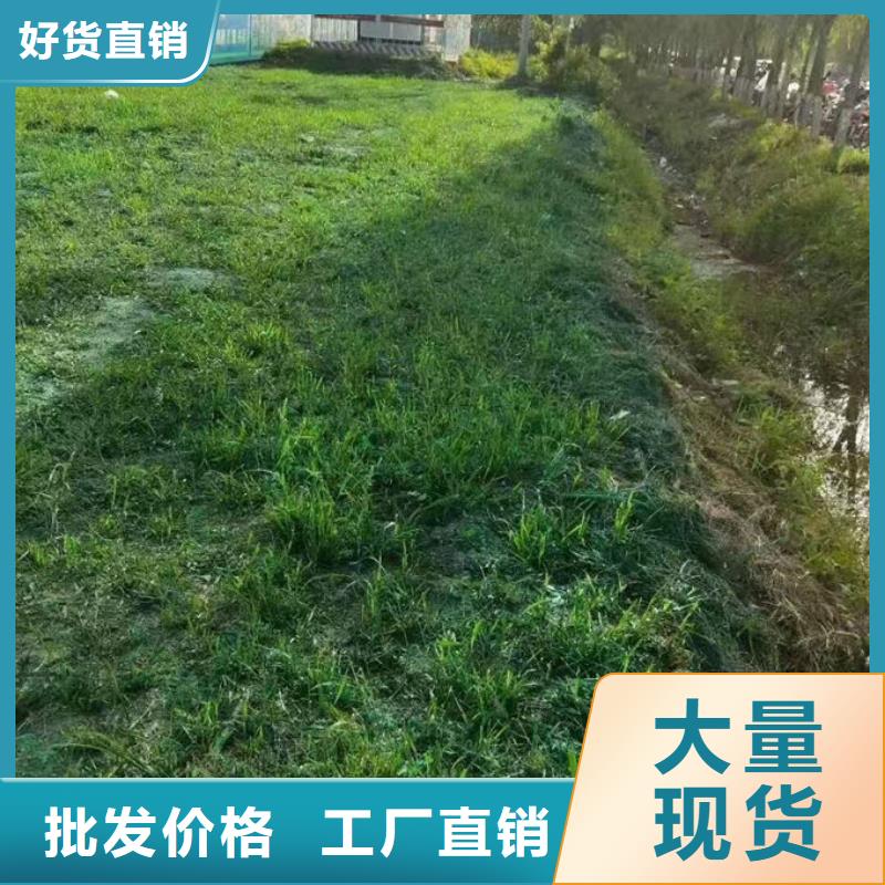 綠色拆遷工地抑塵劑效果好保濕型抑塵劑源頭工廠