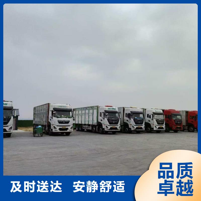 宿遷市泗洪到衢州散裝料專用車品質卓越