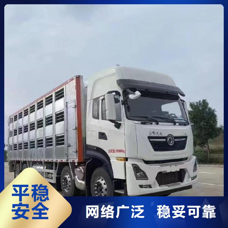 宿遷市沭陽到亳州畜禽物流穩妥可靠