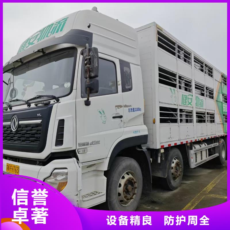 宿遷市沭陽到羊運輸專用車小心謹慎廠家技術完善