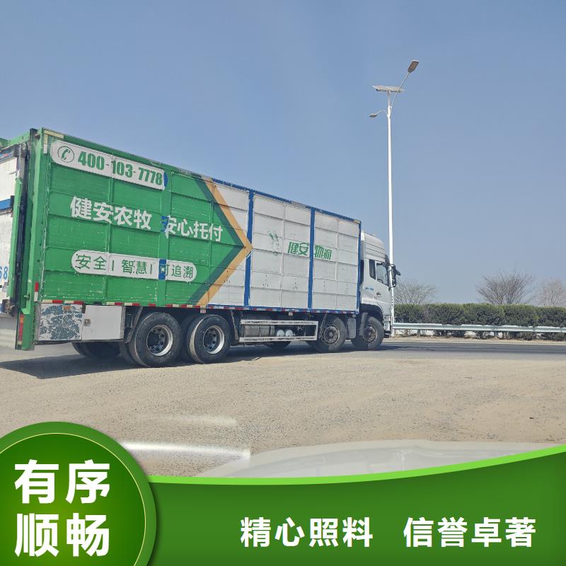 宿遷市泗洪到衢州畜禽運輸整車運輸