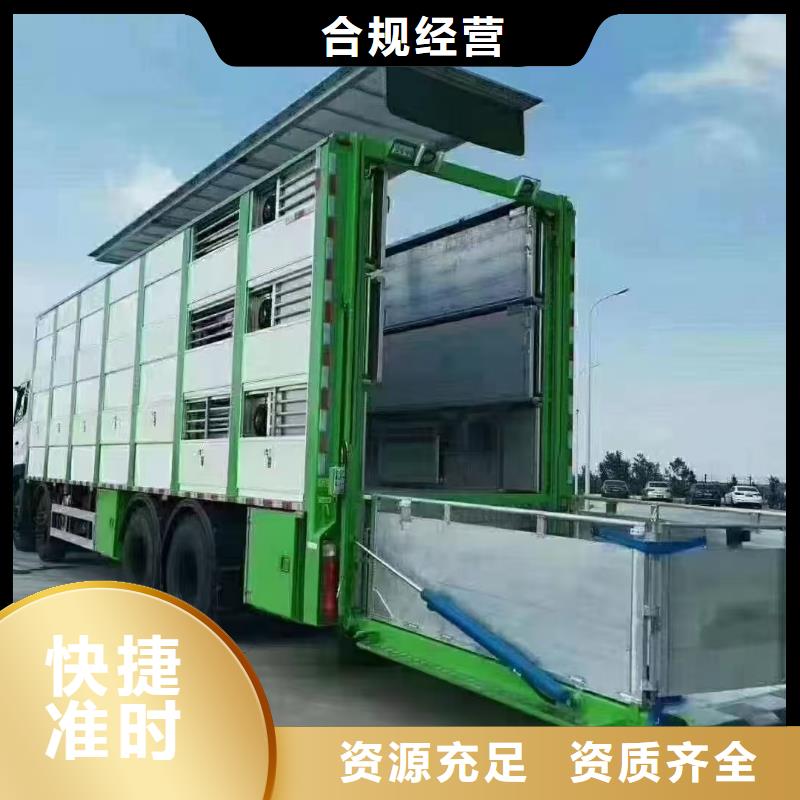 泗陽縣到寧德牲畜運輸資質齊全