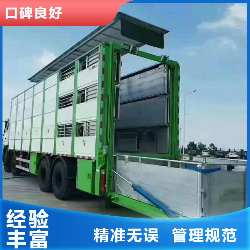 宿遷市泗陽到安慶二育運輸路線優化