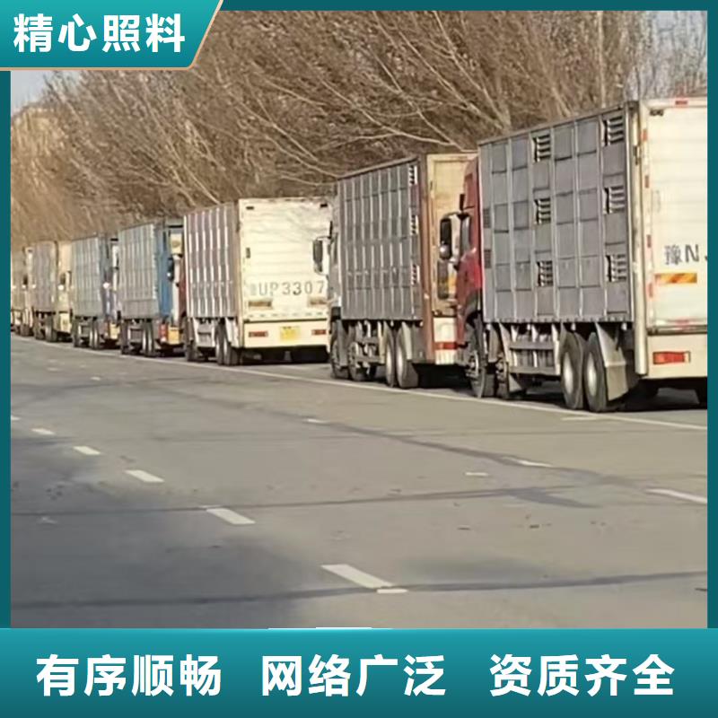宿遷市沭陽到常州羊運(yùn)輸行業(yè)領(lǐng)先