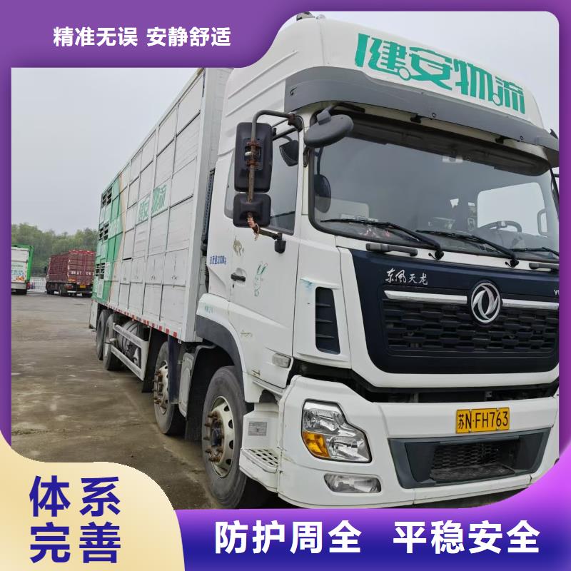 宿遷市泗洪到仔豬恒溫車運輸整車嚴格把關質量放心