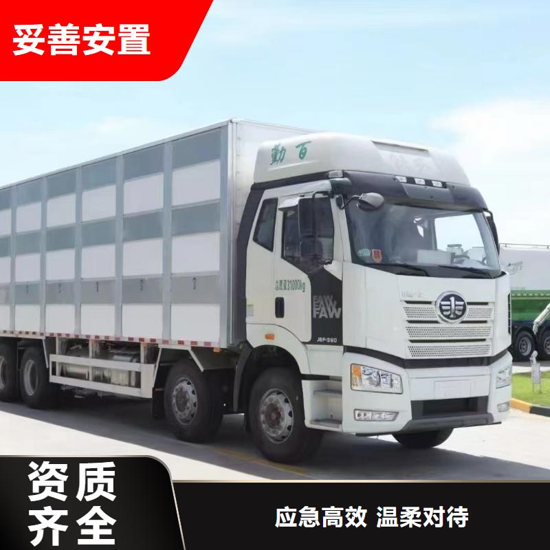 蕪湖到西藏羊運(yùn)輸專用車環(huán)境適宜