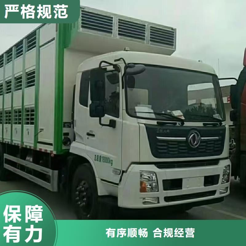宿遷市泗陽到上海牛運輸車型豐富