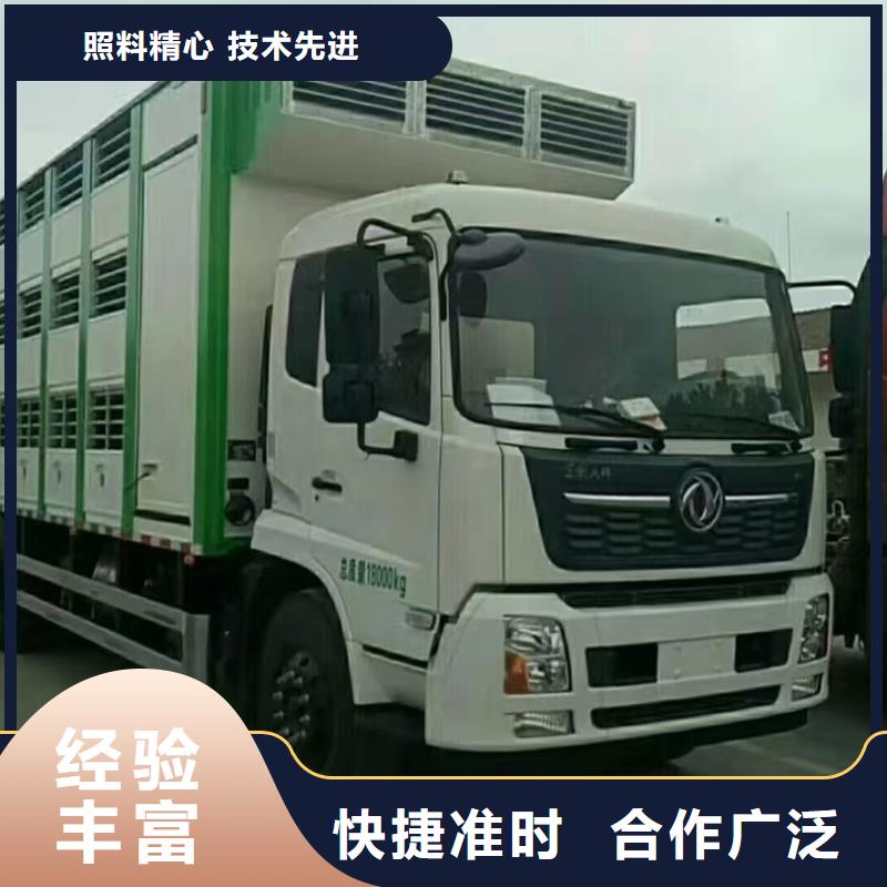 宿遷市到衢州仔豬空調車運輸按時到達