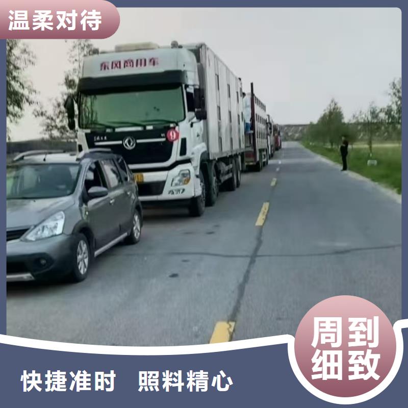 宿遷市泗洪到平頂山仔豬空調車運輸運力強大
