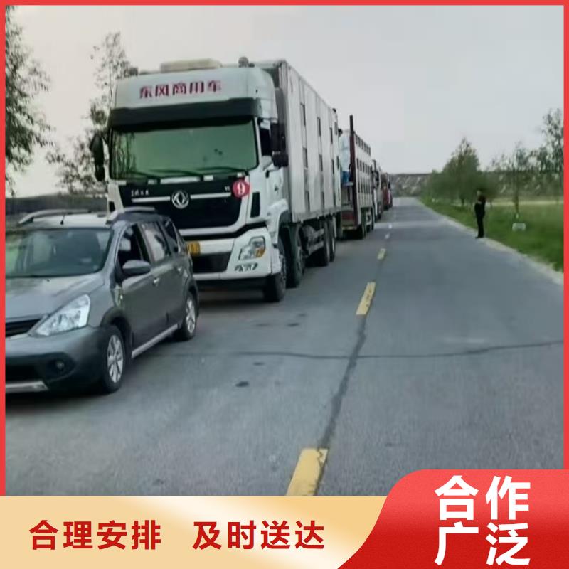 宿迁市泗阳到莱芜农牧运输无损