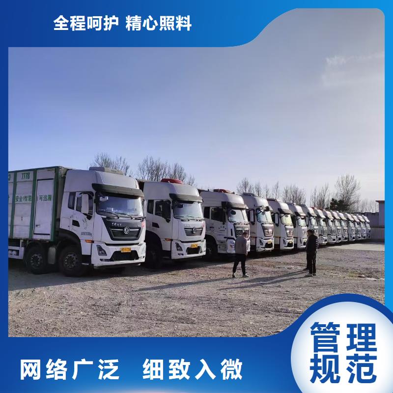 宿遷市到豬只貿易服務有保障好品質用的放心