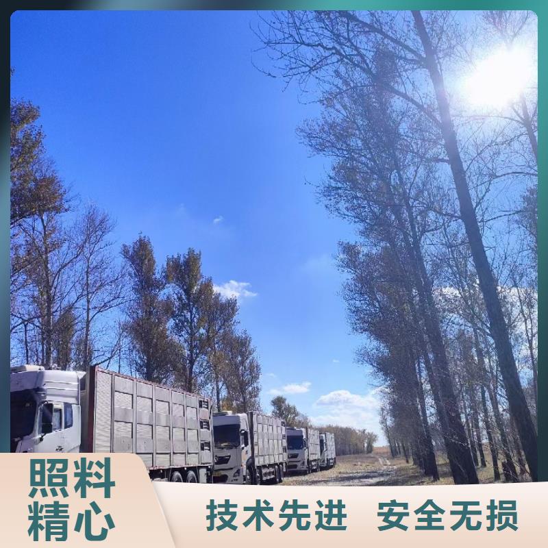 ?宿遷市到信陽生豬物流監控到位