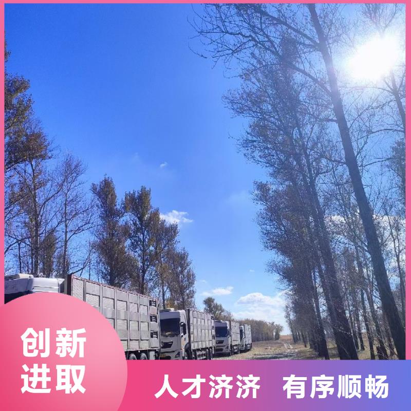 宿迁到淳安猪牛羊运输口碑良好