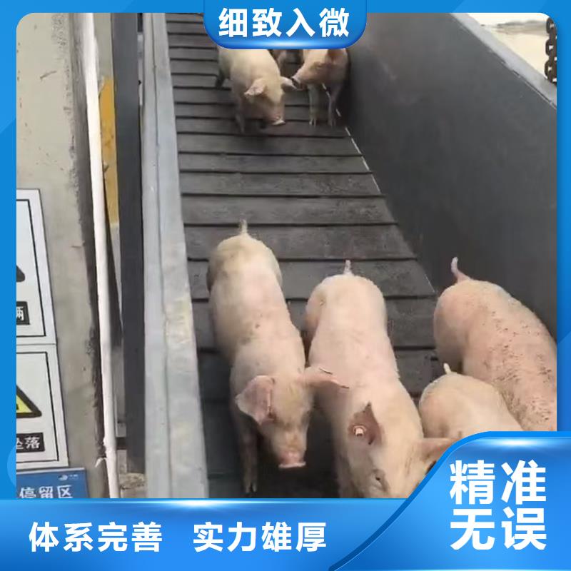 ?宿遷市泗洪到農(nóng)牧運輸妥善安置一個起售