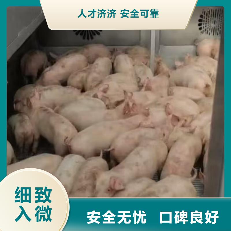 宿遷市泗陽到鎮江原料運輸保障完備