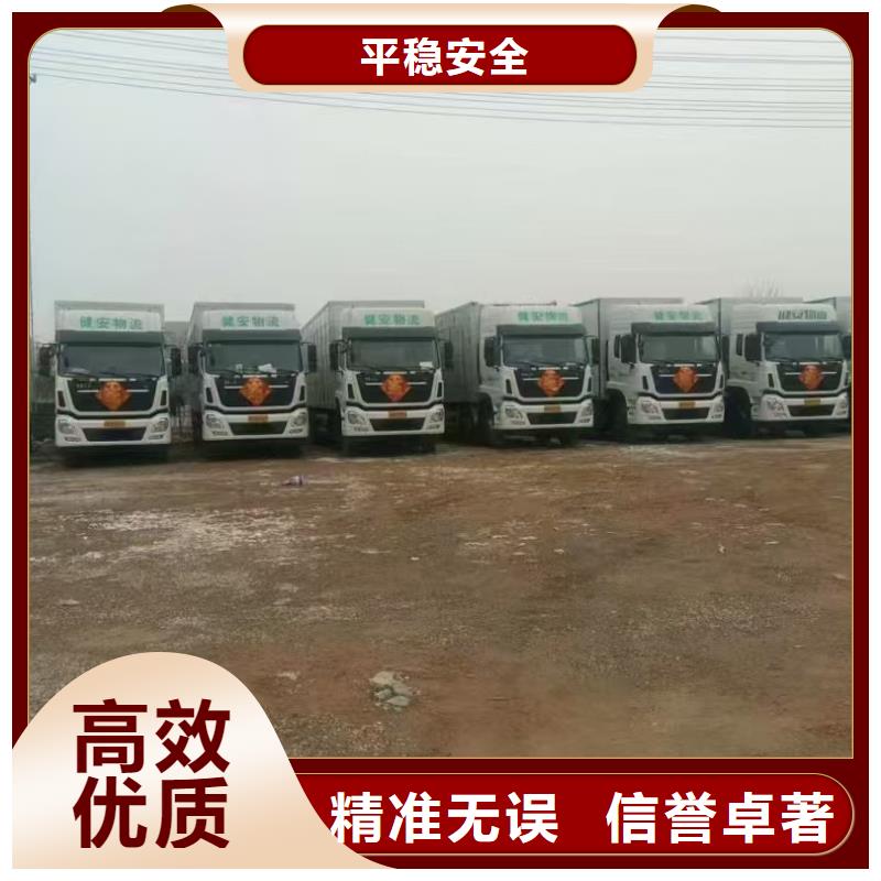 宿遷市到濟寧羊運輸有條不紊