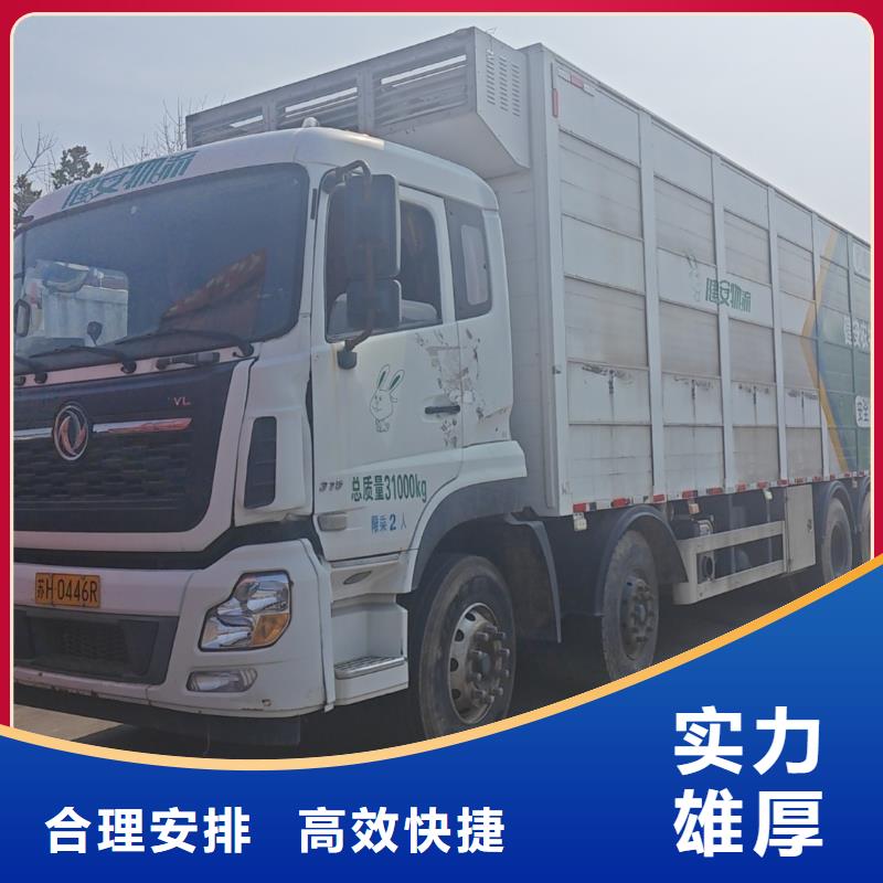 宿遷到豬只運輸專用車司機經驗豐富本地生產商