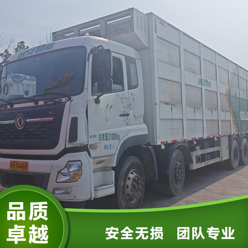 宿遷市泗洪到豬牛羊運輸合規經營好貨直銷