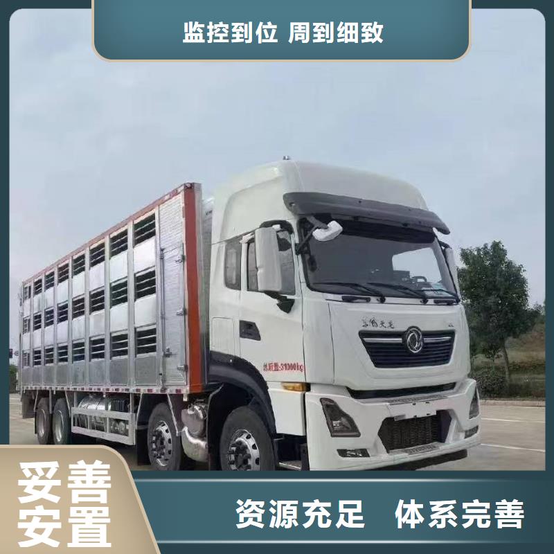 宿迁市泗洪到洛阳仔猪运输应急