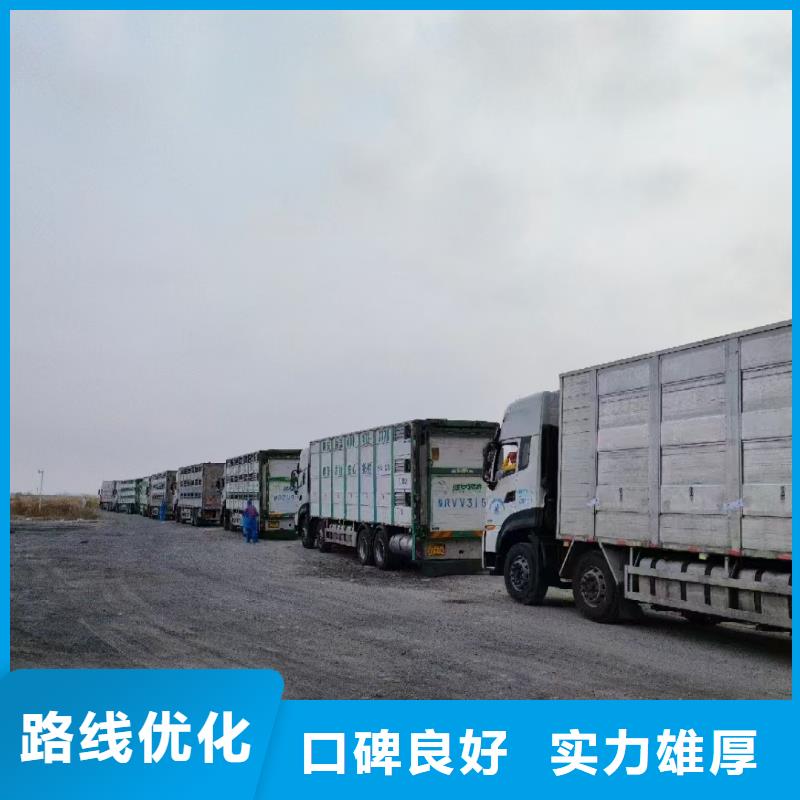 宿遷到生豬運輸特快物流讓客戶買的放心