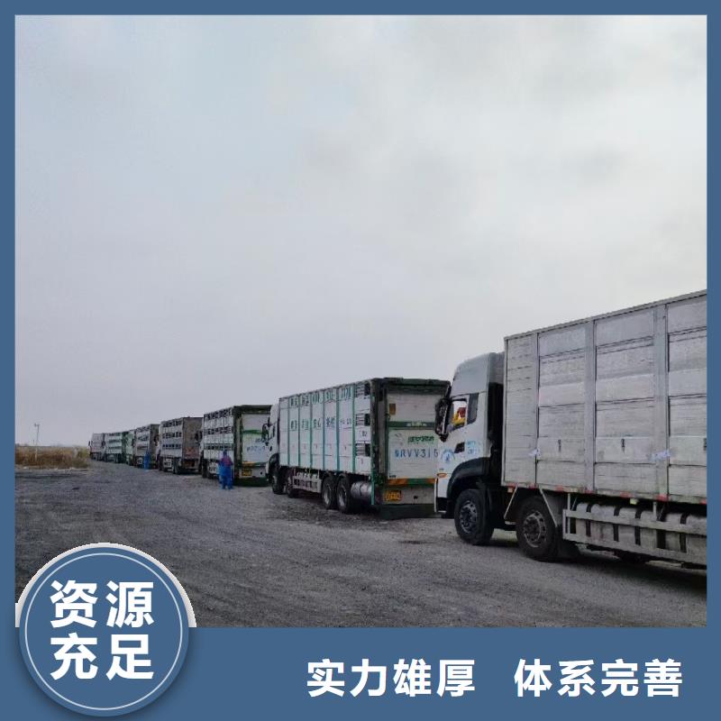 煙臺到濮陽牲畜運輸網絡廣泛