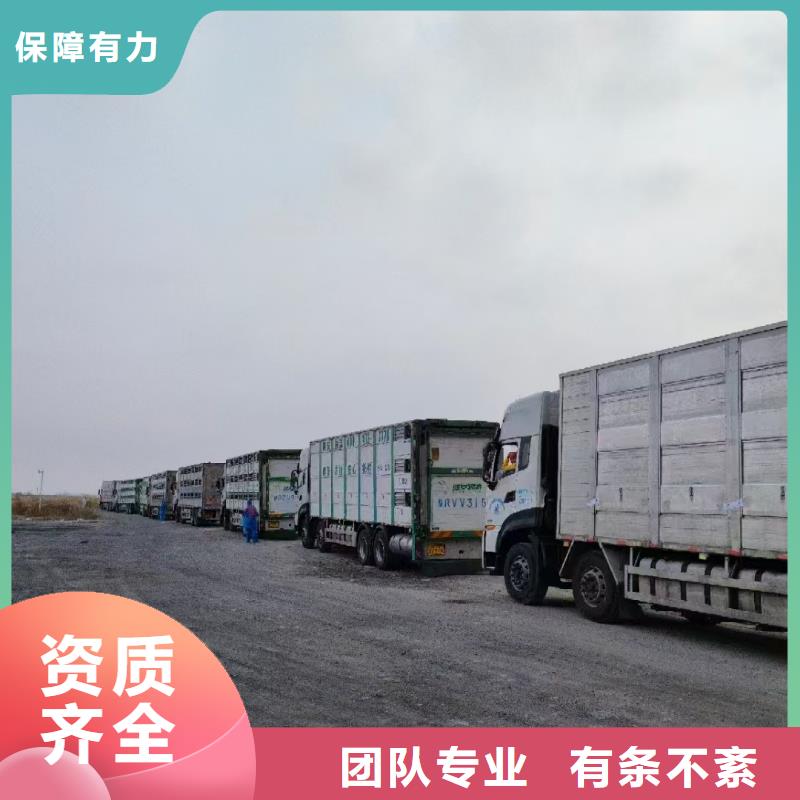 淄博到大連豬運輸路線優(yōu)化