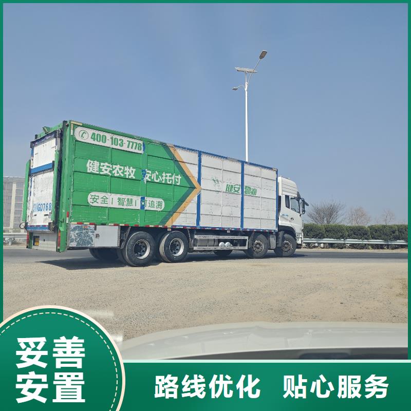 宿遷市泗陽到臺州豬籠車運輸精準無誤