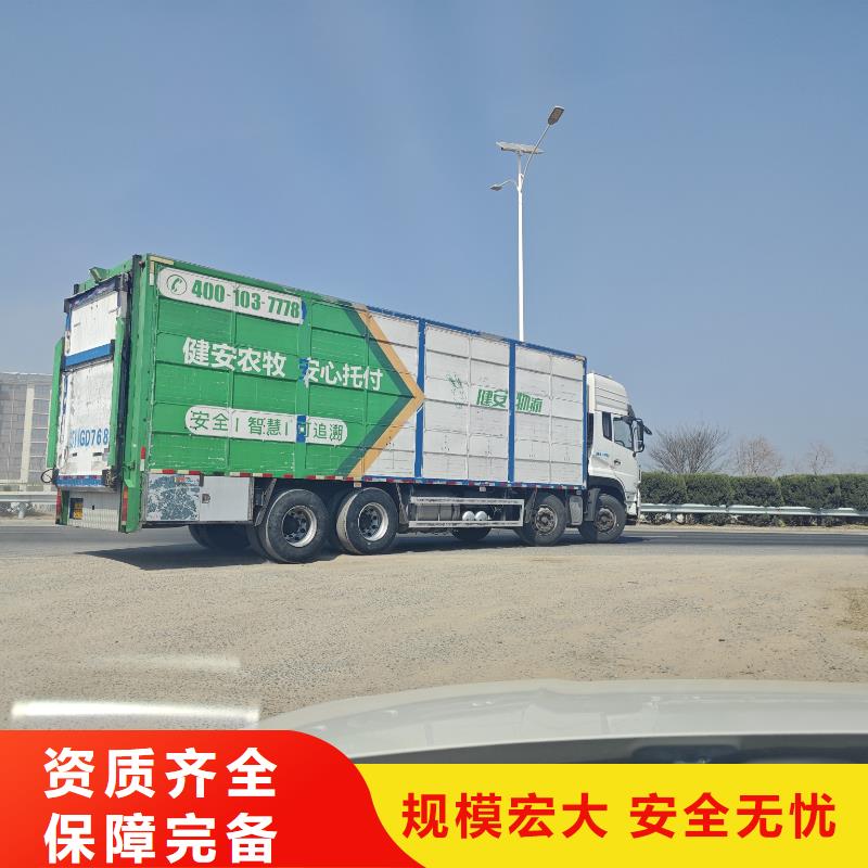 宿遷市沭陽到南陽豬只貿(mào)易穩(wěn)妥可靠