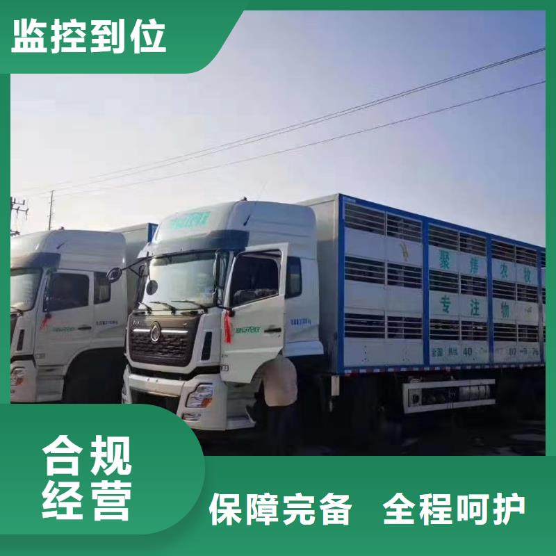新鄉到西安畜禽物流應急