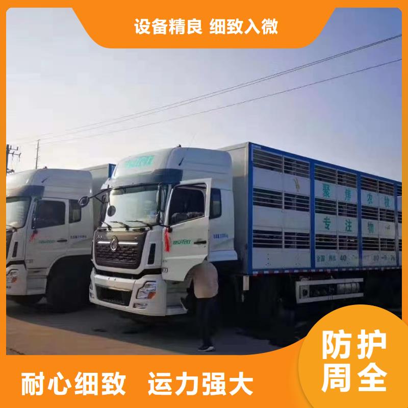 宿迁市泗洪到嘉兴恒温车运输每天发车