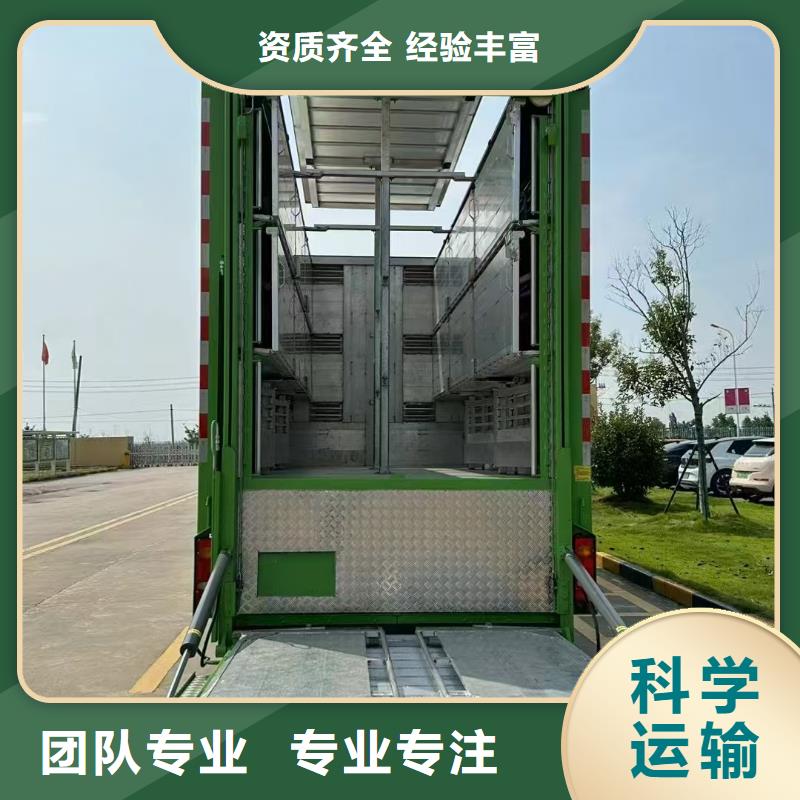 宿遷市到池州羊運輸專用車人才濟濟