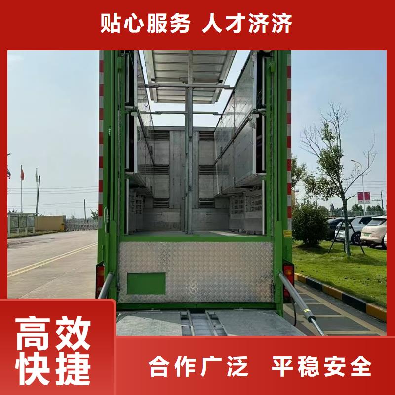 宿遷市到仔豬運輸照料精心按需定制