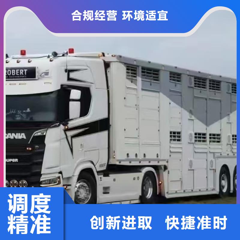 宿遷市到池州豬只貿易人才濟濟