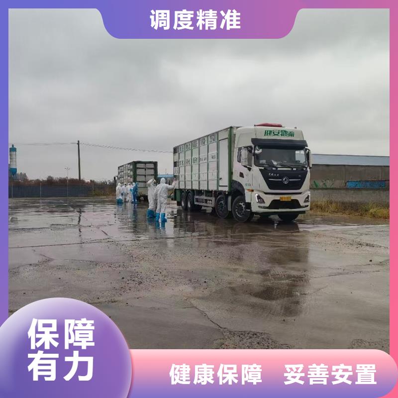 宿遷市到臺州活禽運輸有條不紊