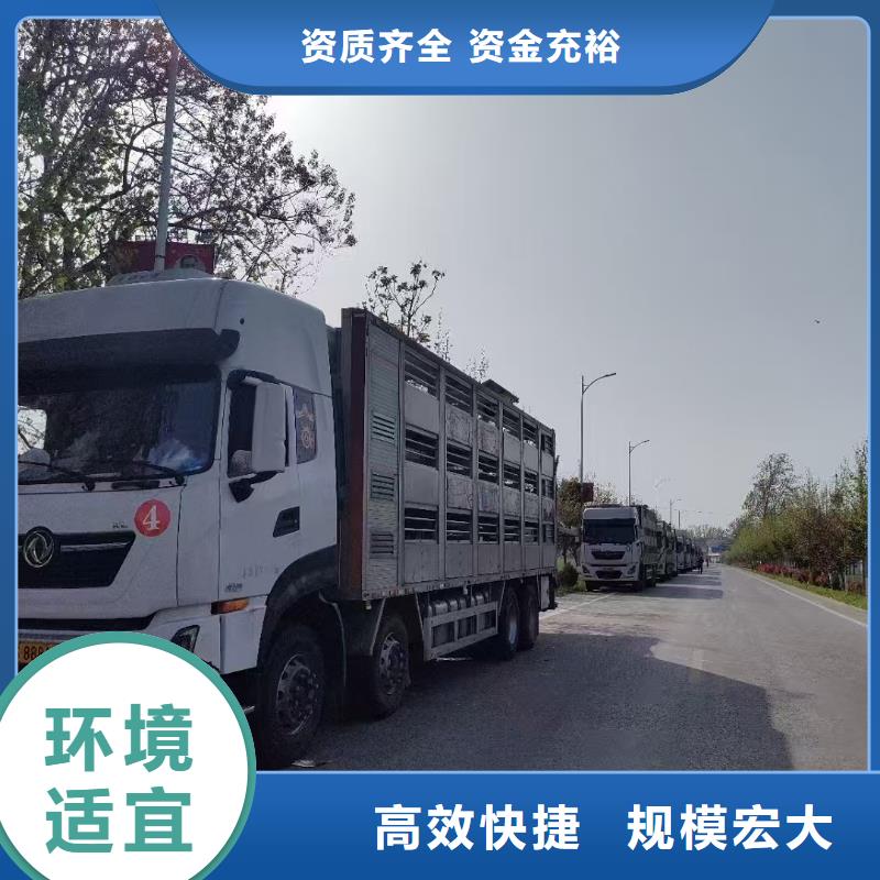宿遷市泗陽到臺州生豬恒溫車運輸合理