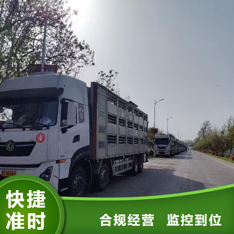 宿遷到埇橋散裝料專用車可靠