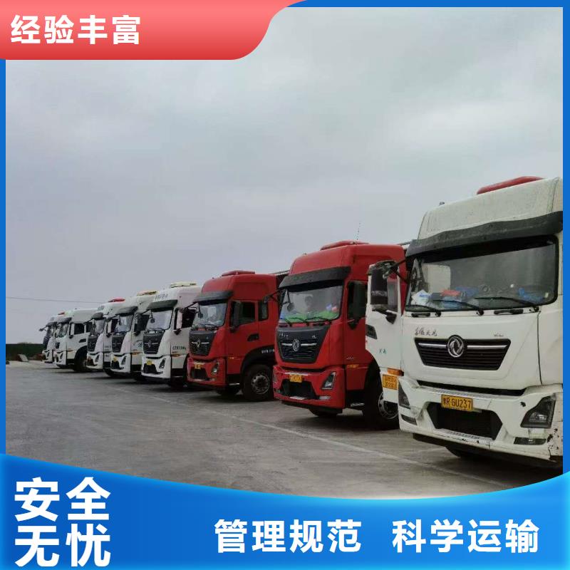 宿遷市到洛陽豬只運輸專用車調度精準