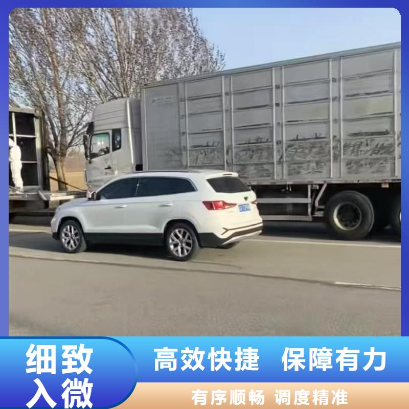 宿迁市到安阳畜禽运输网络广泛