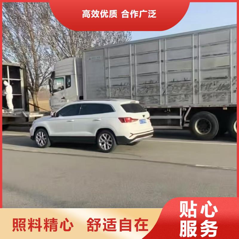 宿遷泗陽到生豬空調車運輸優選好材鑄造好品質