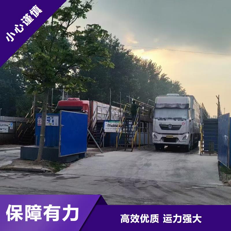 宿遷到新鄭生豬空調車運輸老牌物流公司