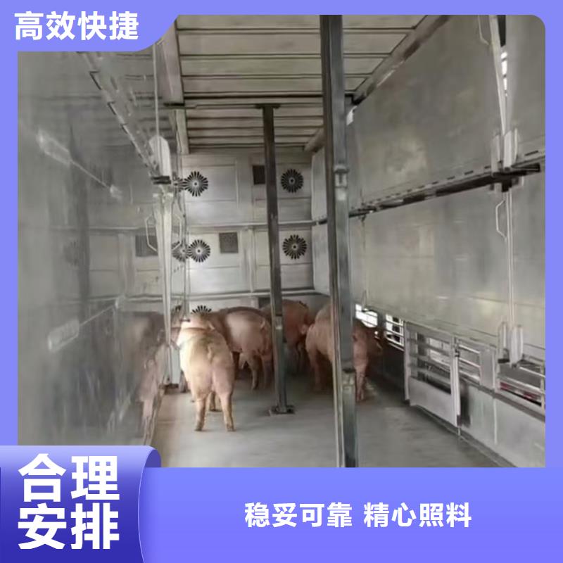 宿遷市到洛陽生豬空調車運輸保障完備