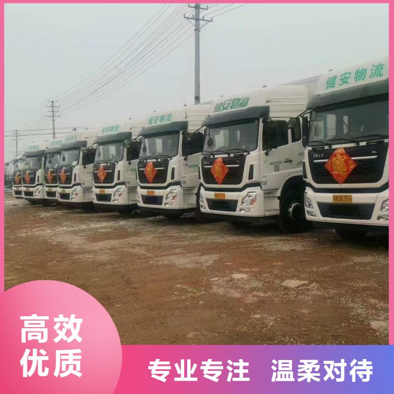 宿遷市泗陽到新鄉生豬運輸小心謹慎