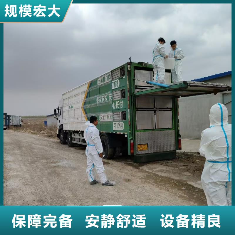 宿遷泗洪到六安牲畜運(yùn)輸