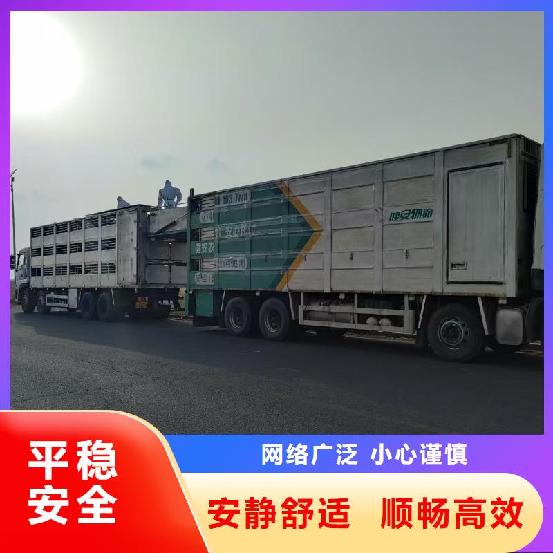 宿迁市沭阳到浙江仔猪运输全程呵护