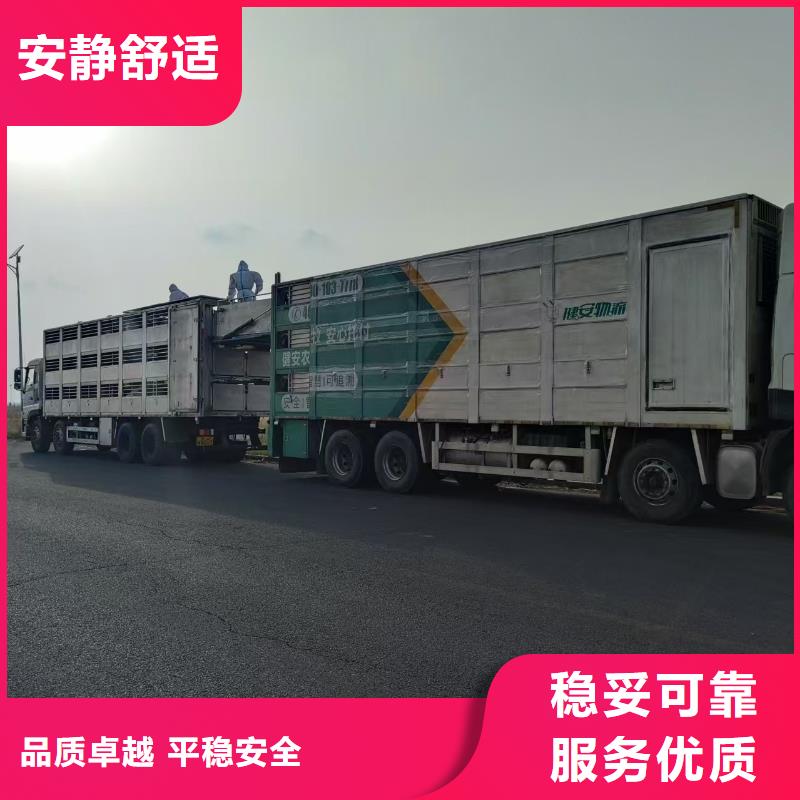 泗洪縣到活禽運輸科學運輸海量貨源