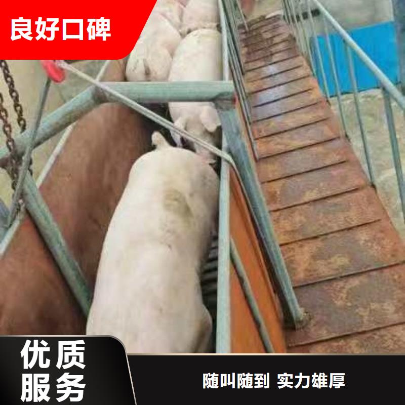 宿遷沭陽(yáng)到信陽(yáng)畜禽運(yùn)輸管理規(guī)范