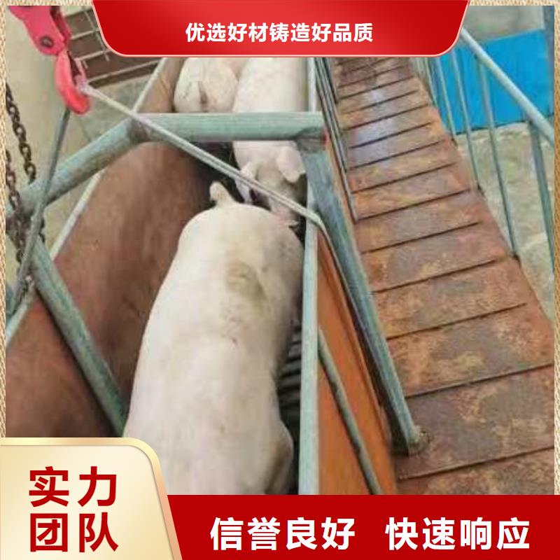 黔西南豬牛羊運輸長期合作優質服務空調車運輸
