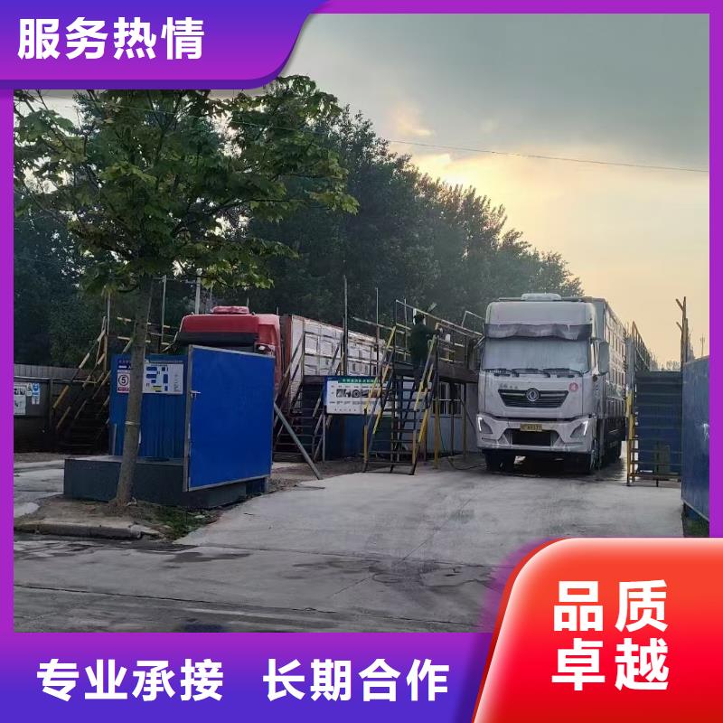宿遷泗陽到湛江羊運輸-專用車質量保證